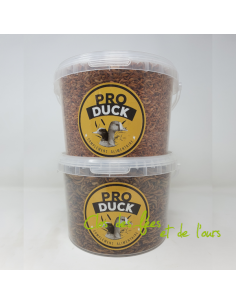 Pack Gammares + Vers de farine