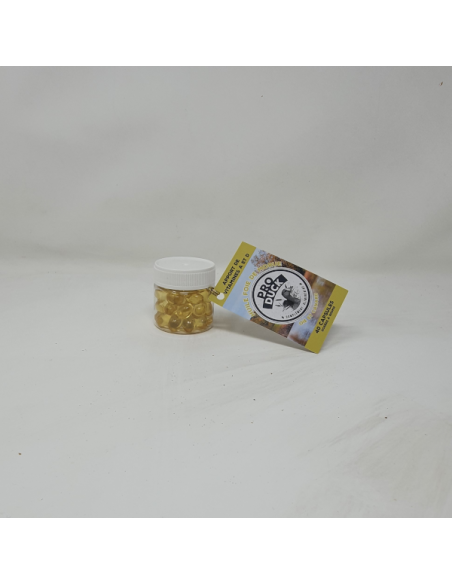Produit de soin canard - Capsules huile de foie de morue Pro Duck