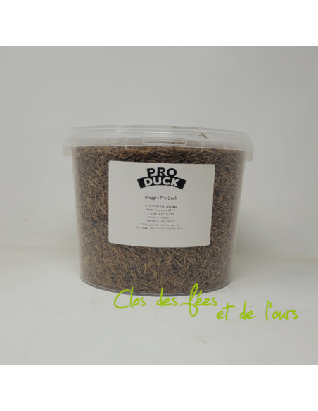 Insectes déshydrates  - Magg's