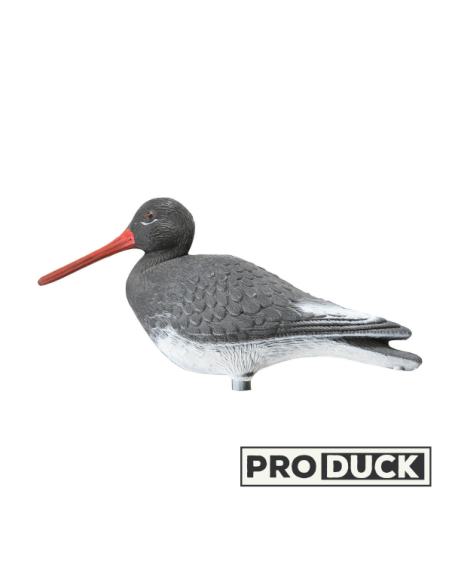 Blettes / Formes - Huitrier Pie