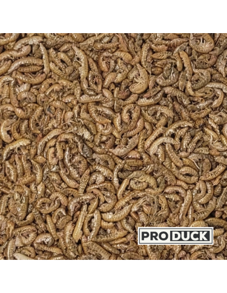 Insectes déshydratés - Gammares Pro Duck