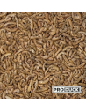 Insectes déshydratés - Gammares
