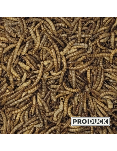 Insectes déshydratés - Vers de farine Pro Duck