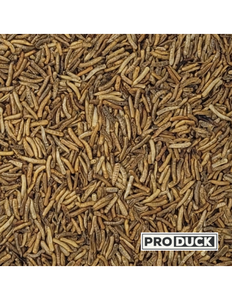 Insectes déshydrates  - Magg's