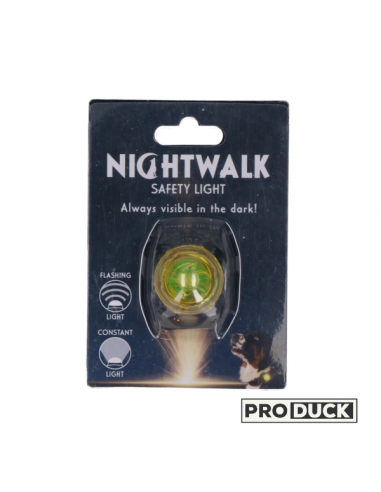 Lumière de sécurité nocturne Nightwalk