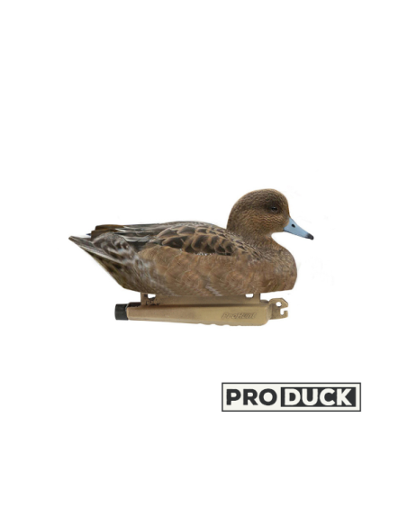 Formes ultra HD - Canes siffleurs en lot de 6