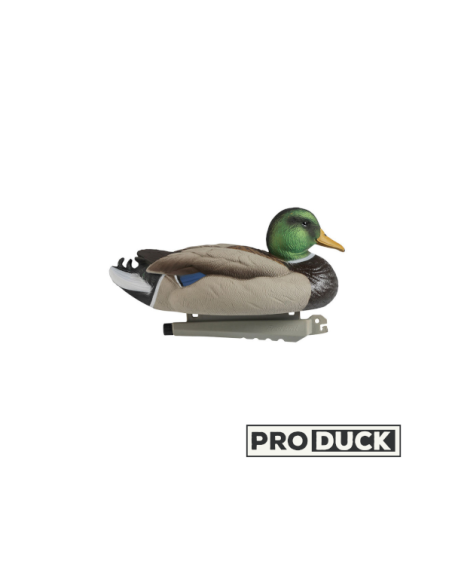 Formes ultra HD - Mâles colvert en lot de 6