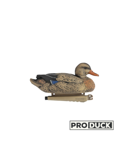 Formes ultra HD - Canes colvert en lot de 6