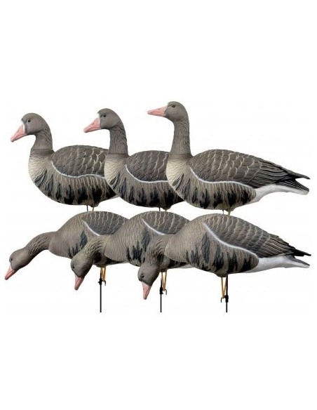 Formes Oies rieuses HD - Lot de 6