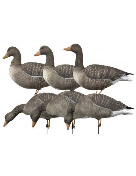 Formes Oies cendrées HD - Lot de 6