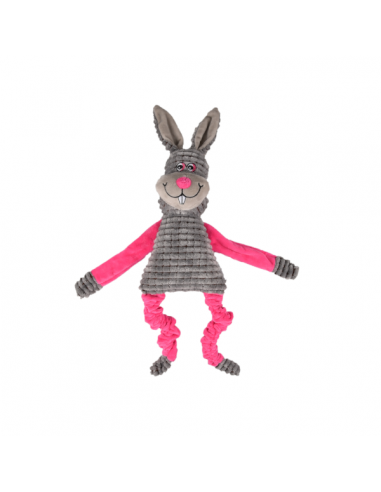 La lapine Jocelyne