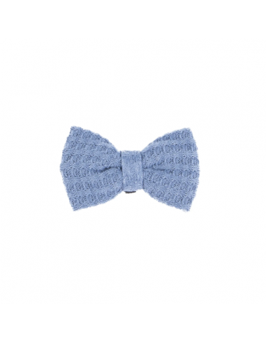 Noeud Papillon chien