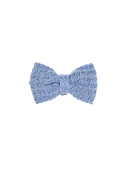 Noeud Papillon chien
