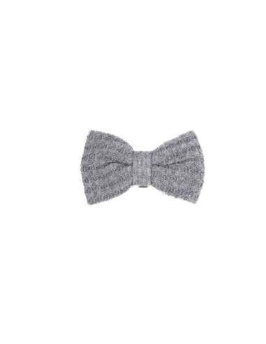 Noeud Papillon chien