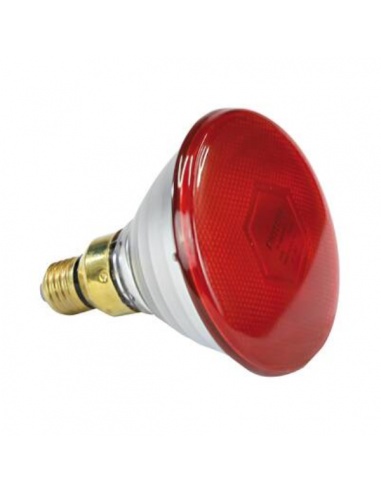 Ampoule chauffante rouge 175W