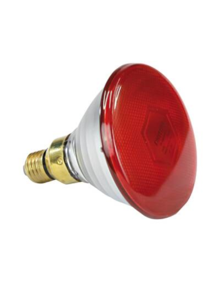 Ampoule chauffante rouge 100W