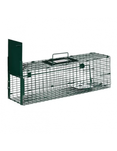 Piège simple entrée rat