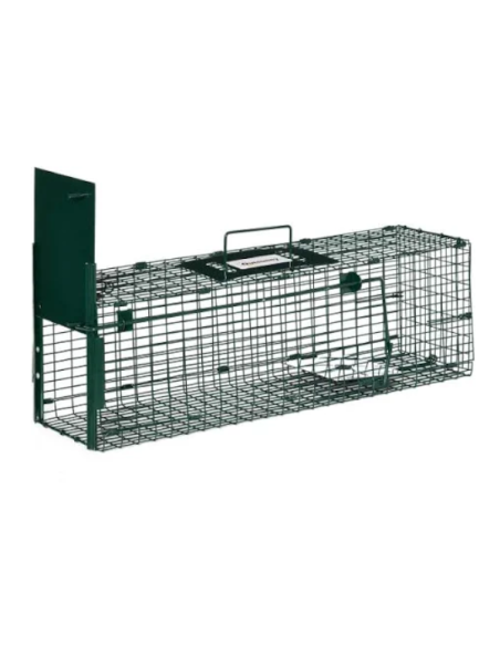 Piège simple entrée rat