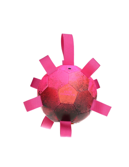 Dog comet Hypernova rose