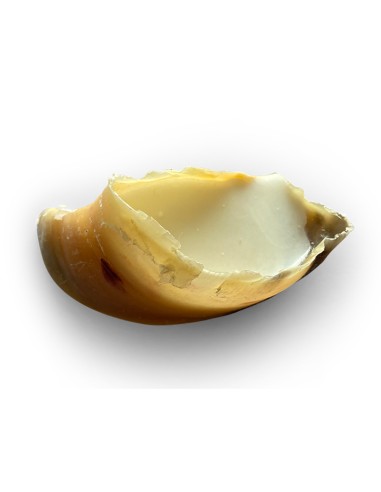Sabots farcis
