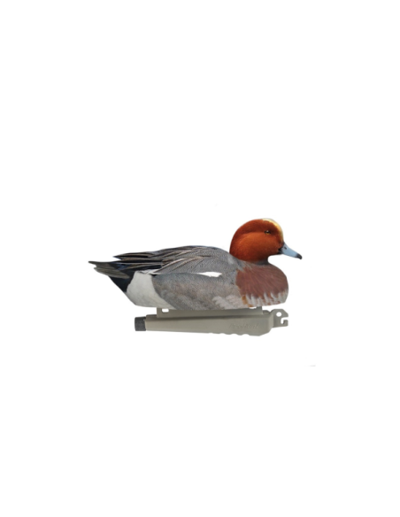 Formes ultra HD - Canes siffleurs en lot de 6