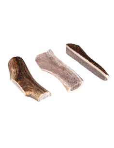 Bois de cerf split Vrac