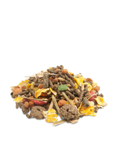 Crispy Muesli – Cochon d’Inde