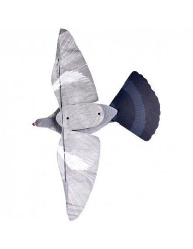 Pigeon Stepflap