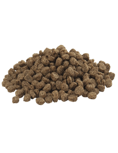 Floating sea duck 15kg