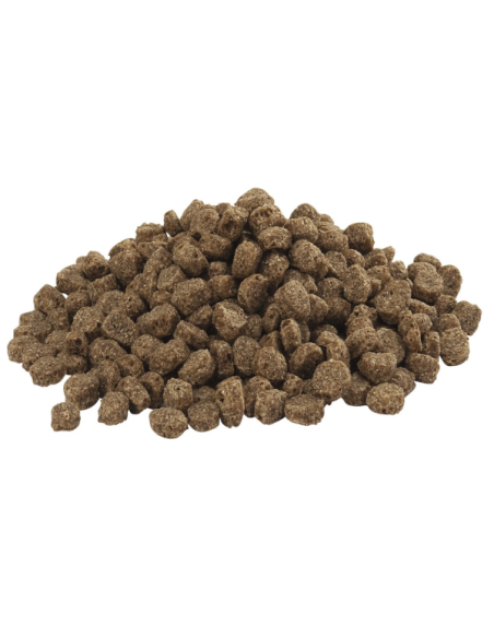 Floating sea duck 15kg