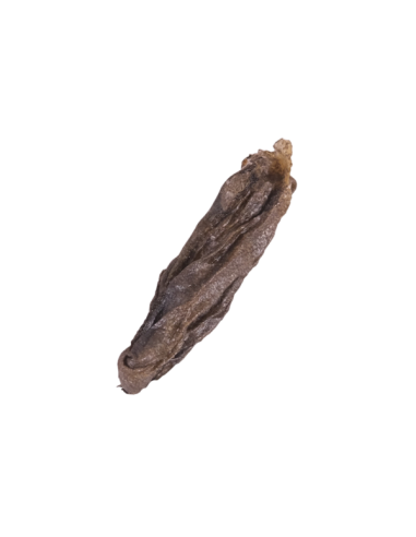 Peau de flétan vrac
