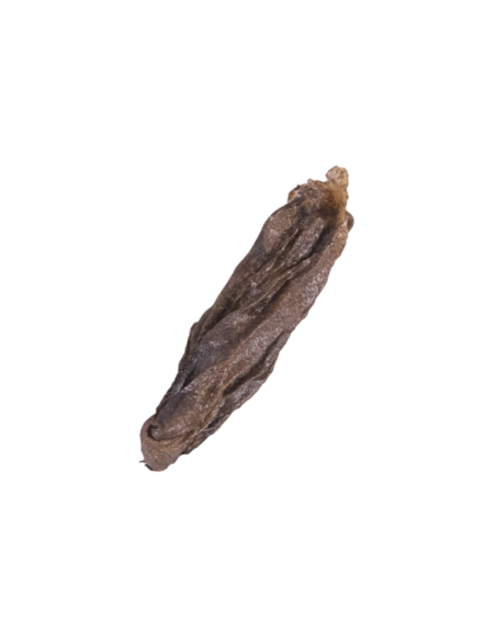 Peau de flétan vrac