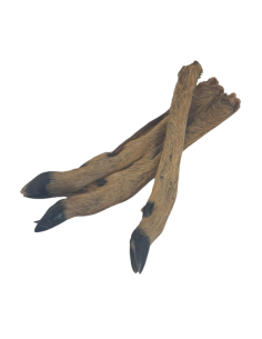 Patte de chevreuil avec poils