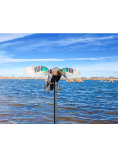 Mojo sarcelle à ailes tournantes elite series