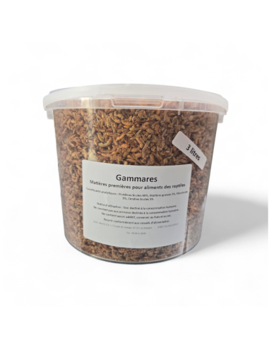 Insectes déshydratés - Gammares