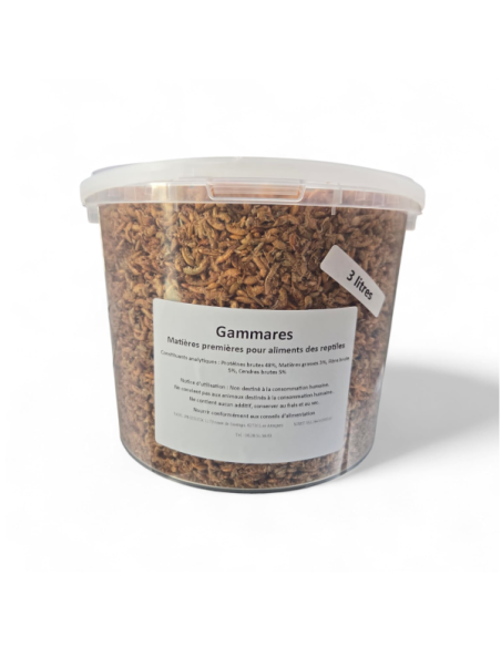 Insectes déshydratés - Gammares