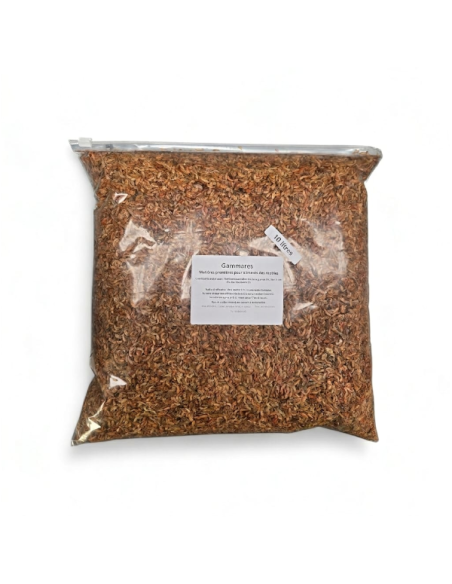 Insectes déshydratés - Gammares Pro Duck