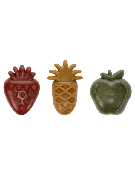 Dentastick veggie fruit -taille M