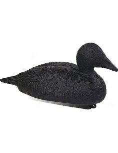 Eider noir moussé