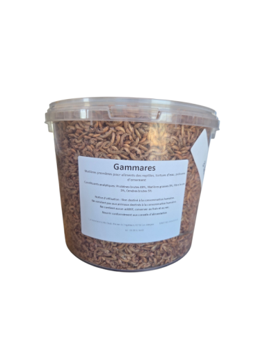 Insectes déshydratés - Gammares
