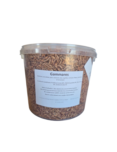 Insectes déshydratés - Gammares