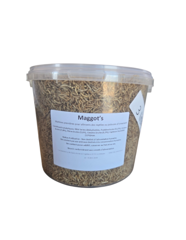 Insectes déshydrates  - Magg's