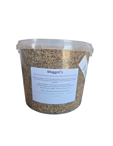 Insectes déshydrates  - Magg's