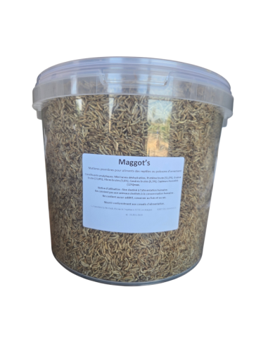 Insectes déshydrates  - Magg's