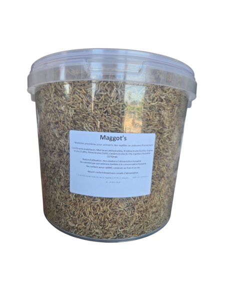Insectes déshydrates  - Magg's