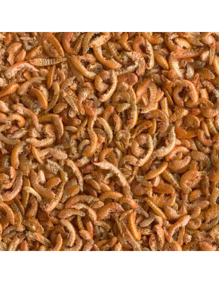 Insectes déshydratés - Gammares