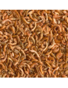 Insectes déshydratés - Gammares