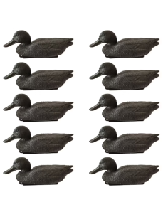 Formes souchet noir moussé - Lot de 10