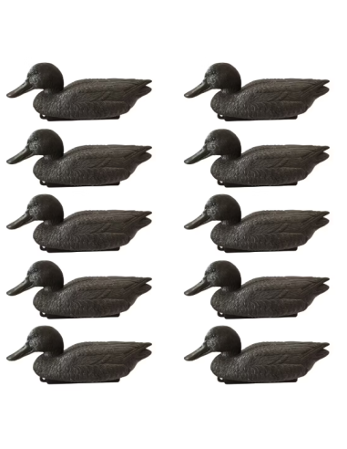 Formes souchet noir moussé - Lot de 10