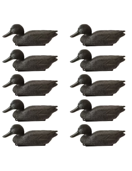 Formes souchet noir moussé - Lot de 10